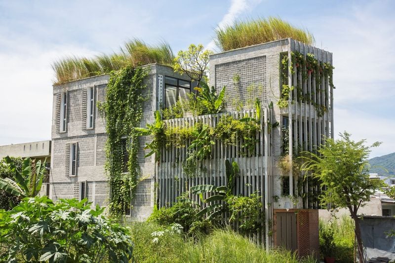 Ivy-Covered Office Spaces