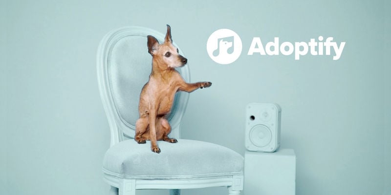 Musical Adoption Campaigns
