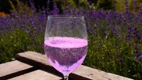 Color-Changing Gins Image 5