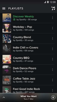 Multimedia Audio Streams Image 3