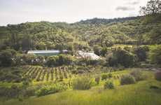 Cannabis-Transformed Wineries
