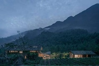 Wavy Naturalistic Roofs Image 4