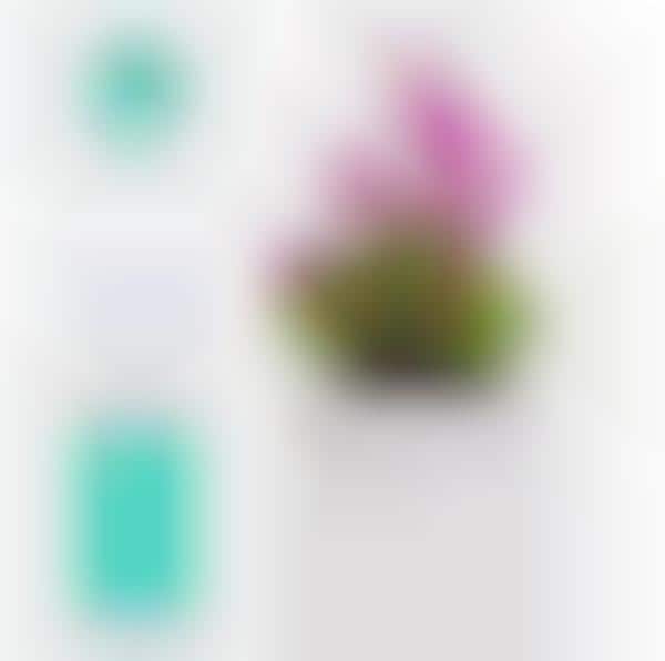 Automated Greenery Planters