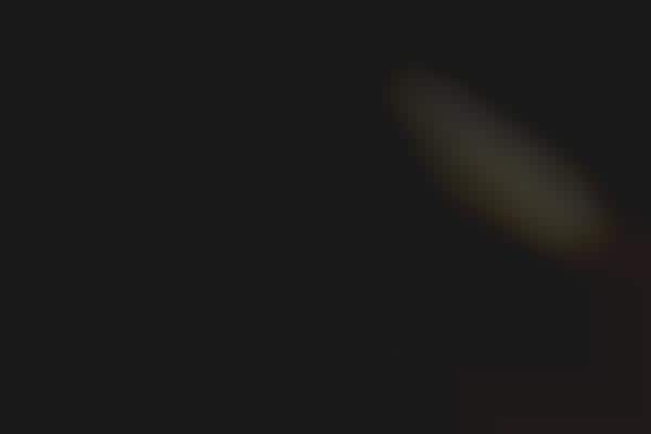In-Screen Fingerprint Sensors
