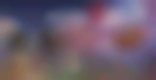 Angry Avian Football Updates