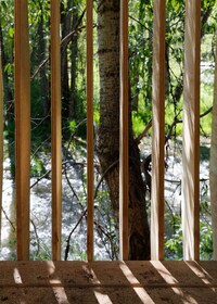 Rustic Forest Platforms Image 2
