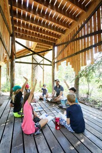 Rustic Forest Platforms Image 3