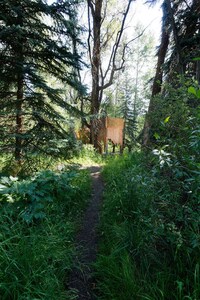 Rustic Forest Platforms Image 4
