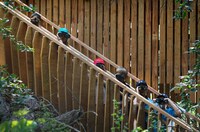 Rustic Forest Platforms Image 6