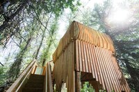 Rustic Forest Platforms Image 7