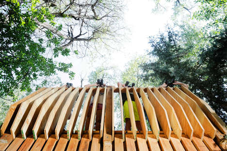 Rustic Forest Platforms Image 8