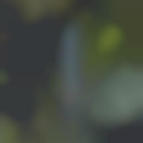 Aromatic Nasal Inhalers