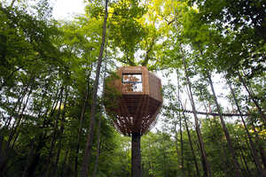 Birdnest Treehouse Designs