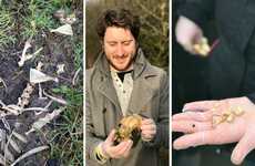 Monster-Hunting Contests