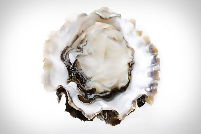 Direct-to-Consumer Oyster Deliveries