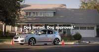 Dog-Starring Car Campaigns Image 2