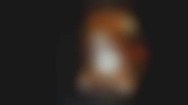Ghost-Detecting Teddy Bears