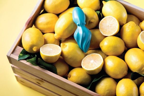 Top 35 Kitchen Trends in February