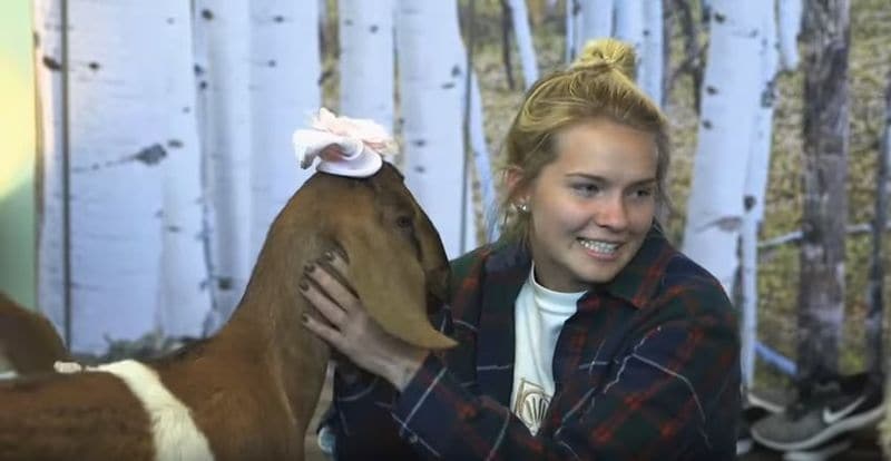 Goat Yoga Sessions