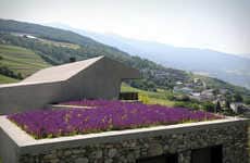 Vinyard-Integrated Farmhouses