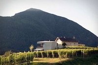 Vinyard-Integrated Farmhouses Image 5