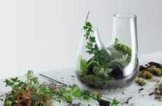 Customized Home Terrariums