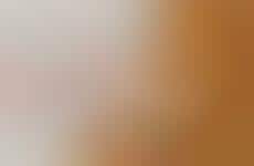 Hearty Toasted Cheese Sandwiches