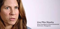 Activist-Connecting Platforms Image 4