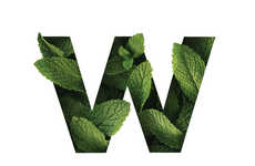 Wellness Brand Podcasts