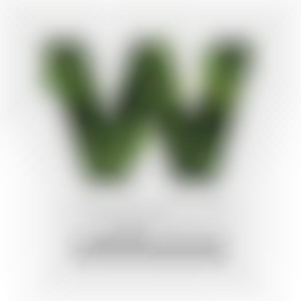 Wellness Brand Podcasts