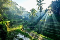 Alternative Travel Resources Image 8