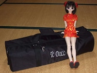 Unusual Doll Cases Image 3