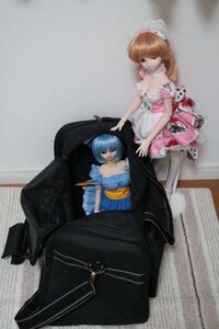 Unusual Doll Cases Image 5