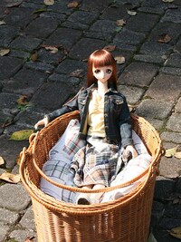 Unusual Doll Cases Image 6