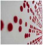 Braille Wallpaper