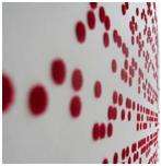 Braille Wallpaper