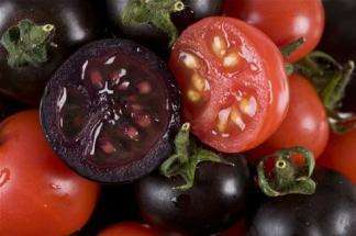 11 Controversial Genetic Modifications