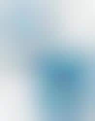 Premium Toilet Seat Covers