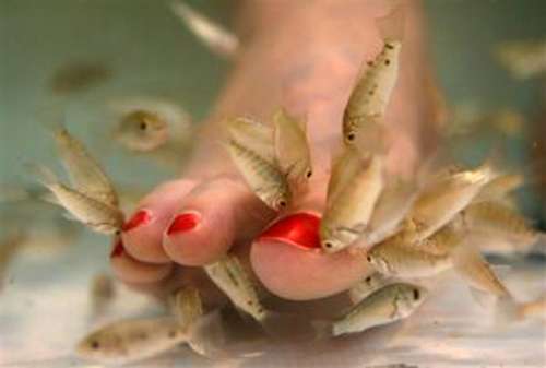 20 Silly Medical “Discoveries”