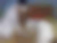 Retaining Classic Movie Styles Image 1