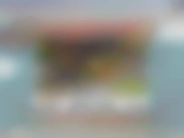 Humans in Cartoon Worlds