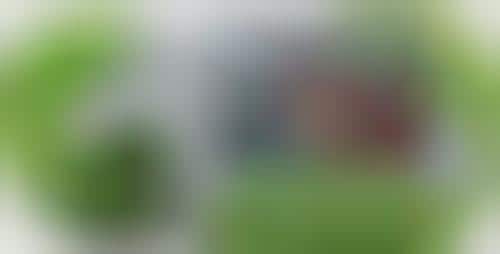 Twisting Camera Lenses