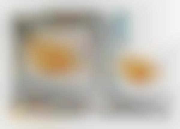 frontline flea and tick spray