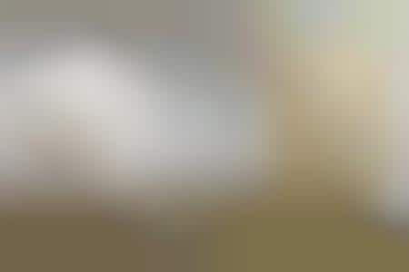 Artistic Theoretical Physics