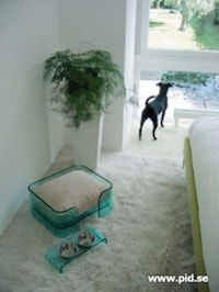 Clear-Walled Pet Beds Image 6