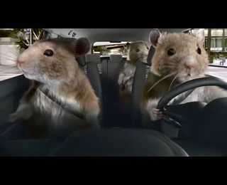 Hamster Wheel Car Ads