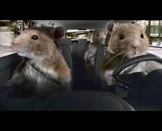 Hamster Wheel Car Ads
