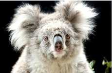 Animals with Media Agents
