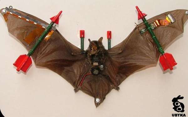 DARPA-Inspired Cyborg Bugs