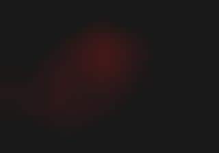 Animated Skinned Animals